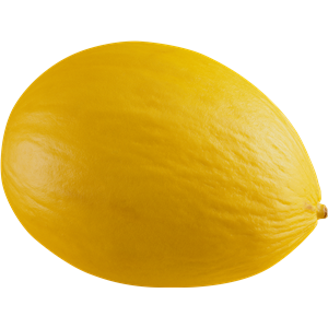 Melon PNG-14356